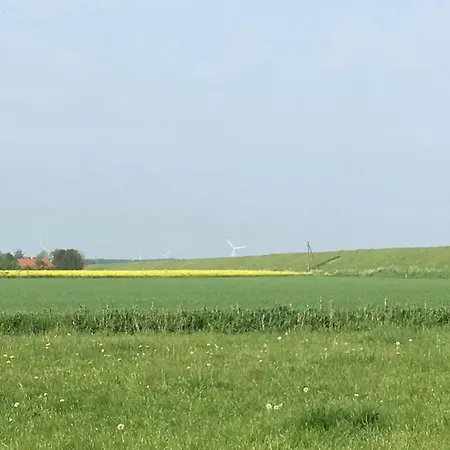 Deichblick - Javenloch